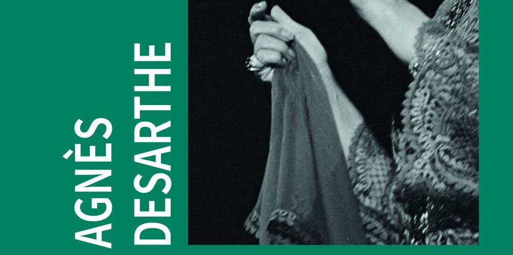 Qui se ressemble (Roman)